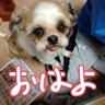 Profilbild von リュー