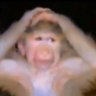 Chimping Out's profile picture