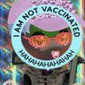 Tranq ៚•'s profile picture