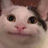 Profilbild von Supimpo