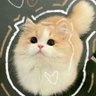 The pets only 🐾's profile picture