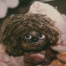 Profilbild von Домовенок