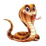 COBRA profil fotoğrafı