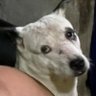 ❀ miLLie ❀'s profile picture