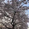 おでん profil fotoğrafı