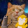 ホクホクさがりえ🐶🍞's profile picture