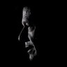 مرشد profil fotoğrafı