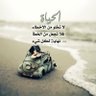 عبدالله 的头像
