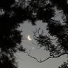 AgusbyChaos's profile picture