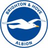 Brighton & Hove Albion 的头像