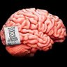 Unwashed Brain's profile picture