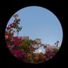 nasser's profile picture