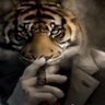 Nikoloz X. profil fotoğrafı