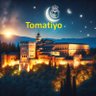 Tomatiyo_1's profile picture