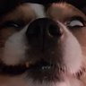 AK's profile picture