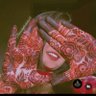 Shazia Khan's profile picture