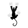 Bruna Broch's profile picture