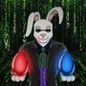 White_rabbit profil fotoğrafı