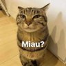 Profilbild von Richard