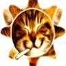 siddhi profil fotoğrafı