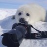 lyn (potogaper sil era) profil fotoğrafı