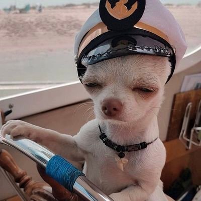 egbe ntụ's profile picture