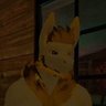 Profilbild von Raccoon
