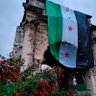 Фото профиля Syrian