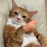 reggiebusch's profile picture