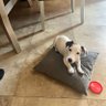 Emma Sam profil fotoğrafı
