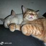 Fah's profile picture