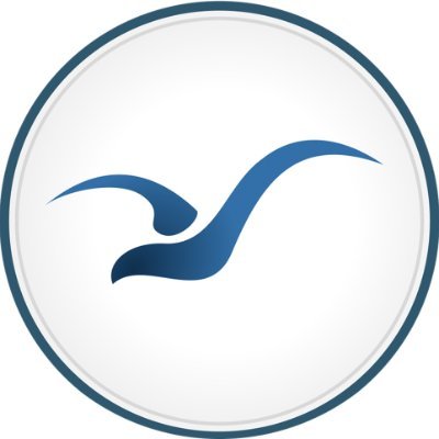 Gull AI's profile picture