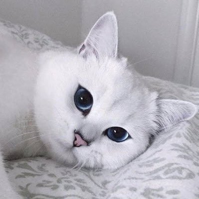 เฌอออ's profile picture