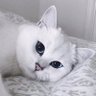 เฌอออ's profile picture