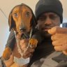 Profilbild von BMS | BIG BOSS