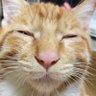 じょん吉日 profil fotoğrafı