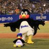 中立(ちゅうりつ) 的头像