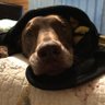 Profilbild von Bunky