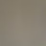 seba profil fotoğrafı