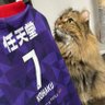 Profilbild von あお