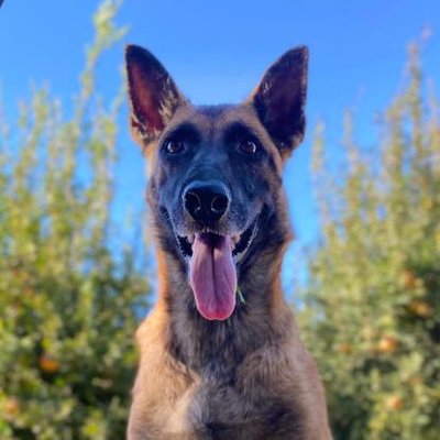f. bobo 🇹🇭's profile picture