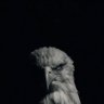 Profilbild von Emirhan