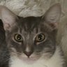 Laura's profile picture