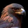 ASIM US's profile picture