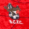Profilbild von Bristol City FC Supporters Page