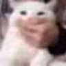 Juan carlos's profile picture