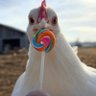 8 bucks is 8 bucks🐔🍭 profil fotoğrafı