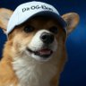 Profilbild von Slim Bubba