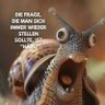 Kaltes.klares.Wasser's profile picture