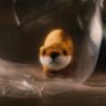 Absinthe's profile picture